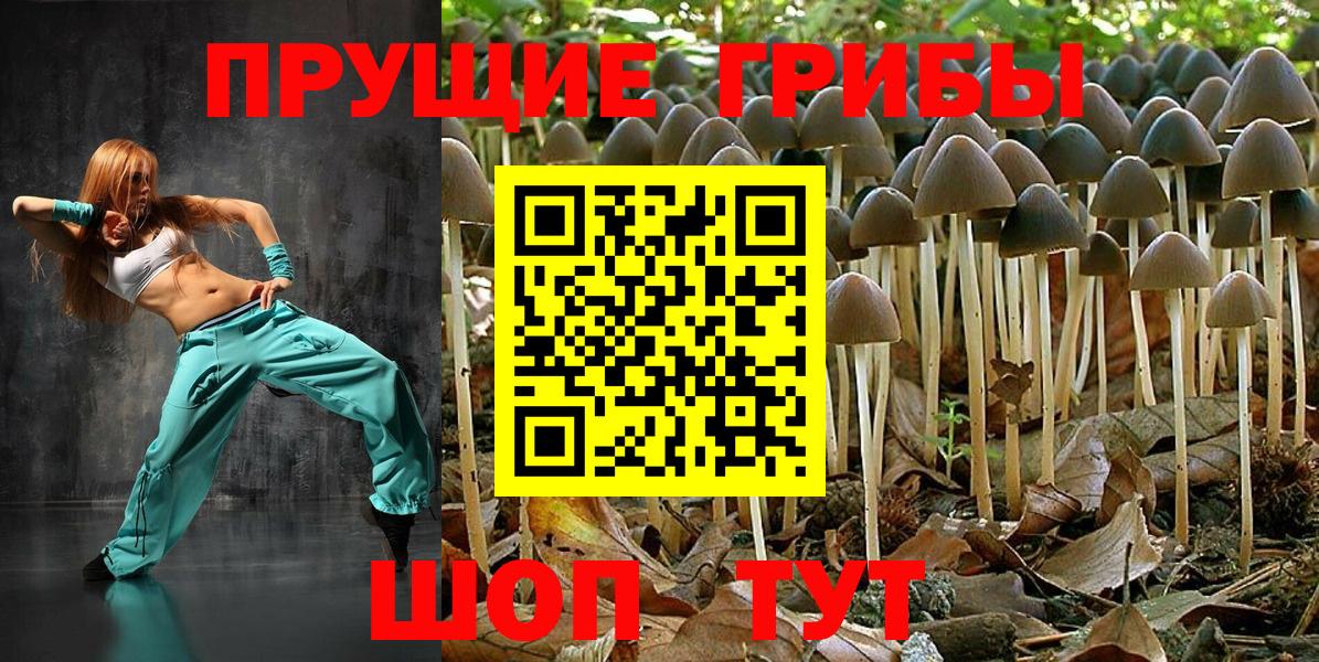 Чусовой  Псилоцибиновые грибы Magic Shrooms  Вход с VPN  Галлюциногенные грибы Psilocybine cubensis 