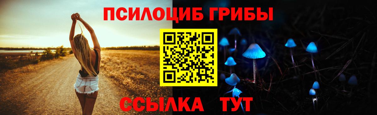 Псилоцибиновые грибы MAGIC MUSHROOMS Чусовой